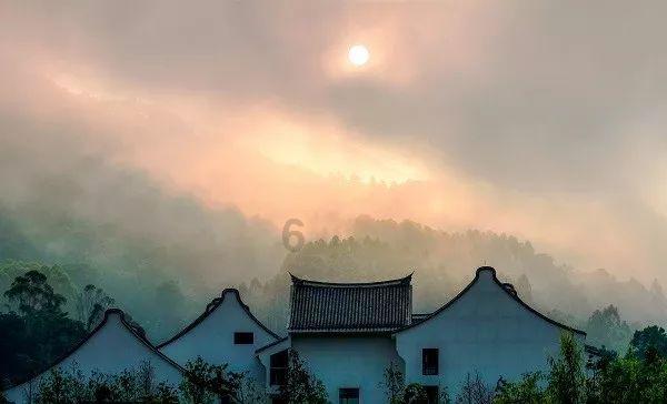 春雨直播app