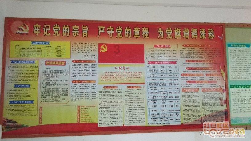 懂你的保护动物有哪些呢?,提供专业问答交流服务